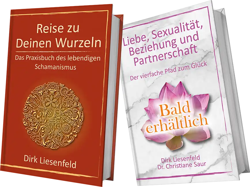 Bücher von Dirk Liesenfeld